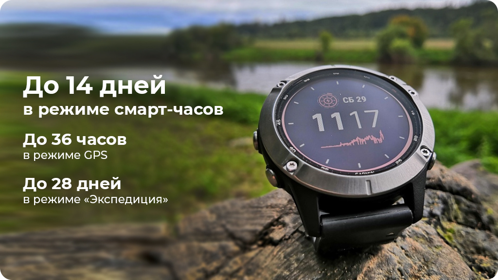 Умные часы Garmin Fenix 6 Sapphire Wi-Fi NFC, серый/черный