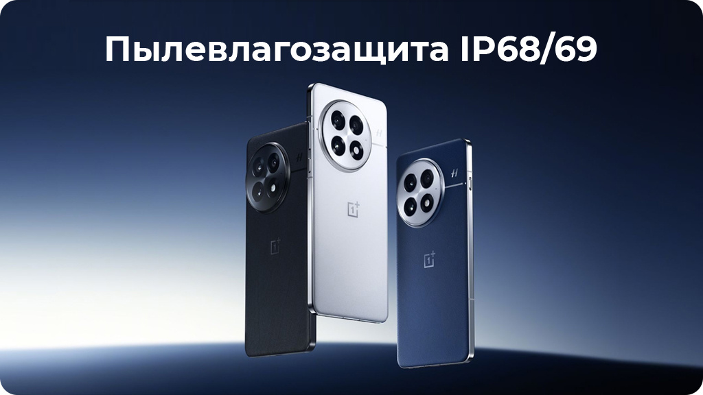 OnePlus 13 12/256Gb Dual nanoSim Черный Global